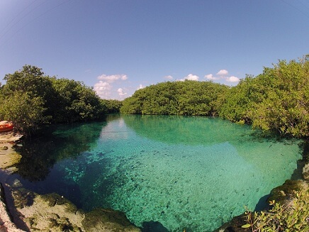 DISCOVER SCUBA DIVING - (Cenote Lagoon)