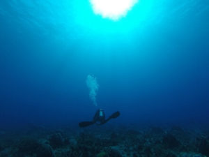 OPEN WATER DIVER COURSE (OWD) - 4 TANKS